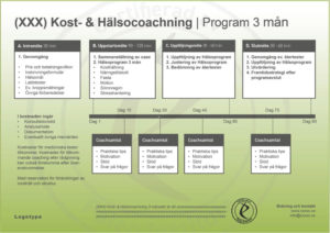 Kost- & Hälsocoaching Program upplägg