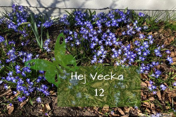 ☀️Hej vecka 12☀️