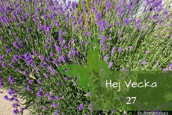 Hej vecka 27