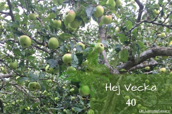 ☀️Hej vecka 40☀️