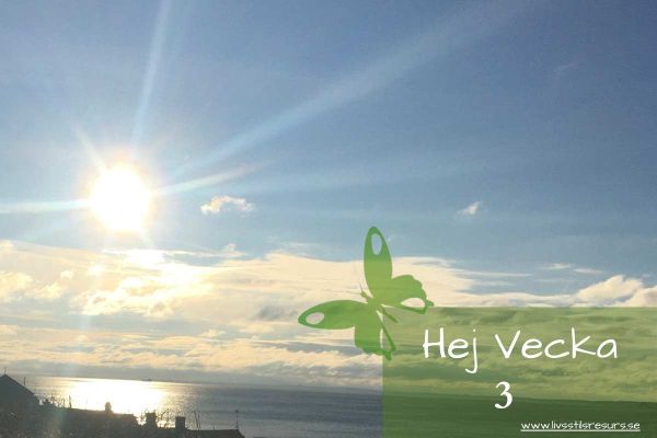 ☀️Hej vecka 3☀️