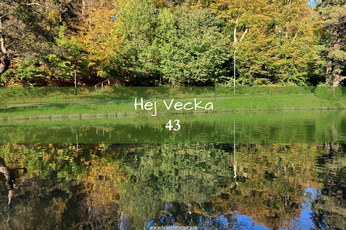 En spegelblank damm och höstträd i olika färger samt texten ☀️Hej vecka 43☀️
